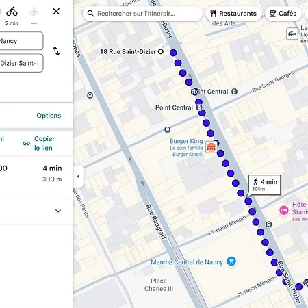 Le Petit Stanislas Iii, Calme & Lumineux Apartament